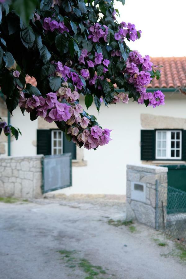 Casa Velha Villa Paradamonte ภายนอก รูปภาพ