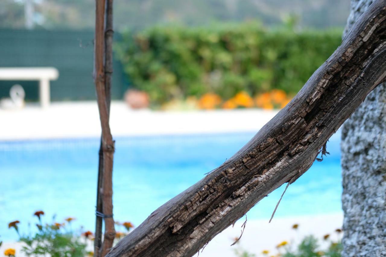 Casa Velha Villa Paradamonte ภายนอก รูปภาพ